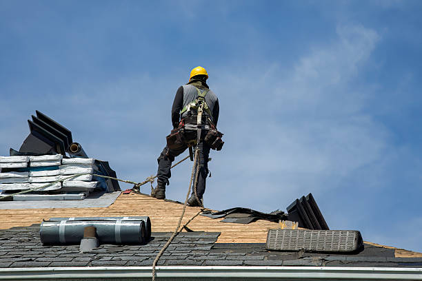 Professional Gutter Installation technician working in Woodville, AL